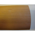 Thin Veneers