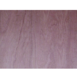 12mm Far Eastern Hardwood Plywood 1220mm x 610mm